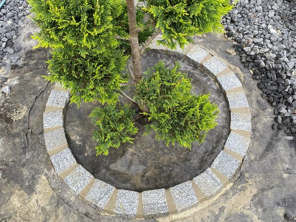 Gartenbau Augsburg – Professionelle Baumscheibe mit Naturstein